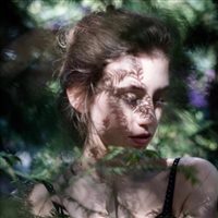 6686体育铁牌作者Quincy