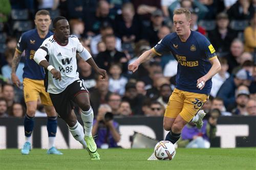 纽卡斯尔联 vs 富勒姆